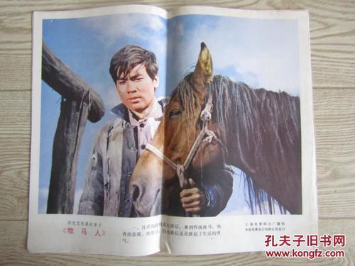 巴西作假